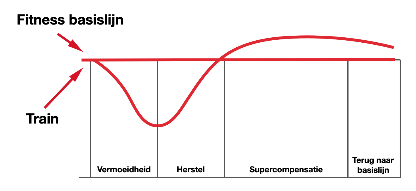 Schermafbeelding-2020-09-02-om-11.58.48.png
